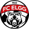 Fussball Club Elgg